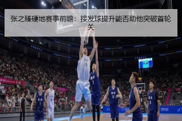 张之臻硬地赛事前瞻:接发球提升能否助他突破首轮关